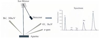 Quantitative accuracy assessment of trace elements and halogens in apatite by time-of-flight secondary ion mass spectrometry (TOF-SIMS)†