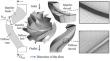 Investigations on the Energy Characteristics and Internal Flow Dynamics of a Mixed-Flow Pump Considering of Inlet Pre-Rotation at Off-Rated Flow Conditions