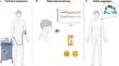 Neuropsychological mechanisms of observational learning in human placebo effects.