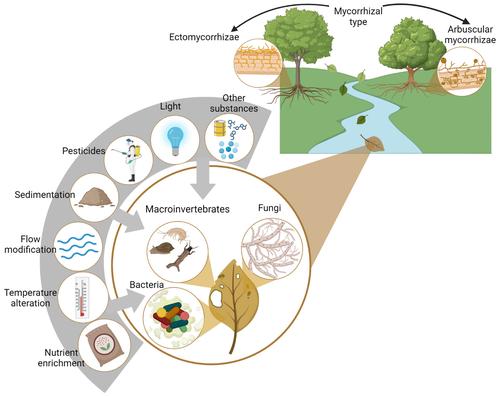 Multiple-stressor effects on leaf litter decomposition in freshwater ecosystems: A meta-analysis