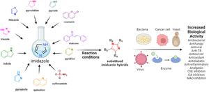 Recent pharmacological insights about imidazole hybrids: a comprehensive review