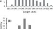 An experimental study of benthic habitat selection in yellow-phase American eels (Anguilla rostrata)