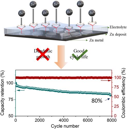 Water-in-Polymer Salt Electrolyte for Long-Life Rechargeable Aqueous Zinc-Lignin Battery