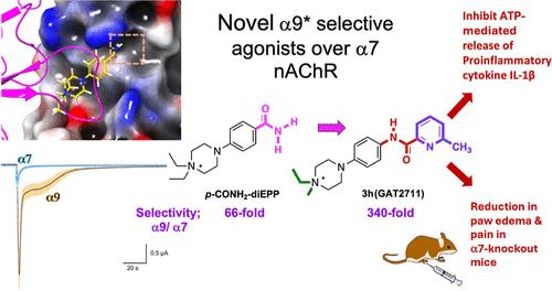 Explorations of Agonist Selectivity for the α9* nAChR with Novel Substituted Carbamoyl/Amido/Heteroaryl Dialkylpiperazinium Salts and Their Therapeutic Implications in Pain and Inflammation