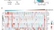 Inhibition of LSD1 via SP2509 attenuated the progression of rheumatoid arthritis.