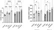 Effect of Stanozolol and/or Cannabis Abuse on Hypertrophic Mechanism and Oxidative Stress of Male Albino Rat Cardiac Tissue in Relation to Exercise: A Sport Abuse Practice.