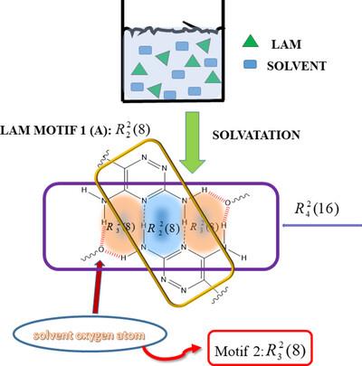 Supramolecular synthons in hydrates and solvates of lamotrigine: a tool for cocrystal design.