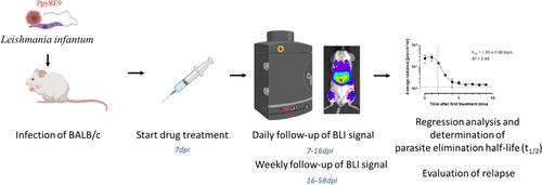 In Vivo Bioluminescence Imaging Reveals Differences in Leishmania infantum Parasite Killing Kinetics by Antileishmanial Reference Drugs