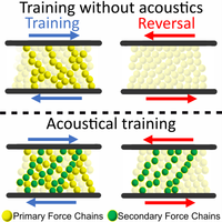 Jamming Memory into Acoustically Trained Dense Suspensions under Shear