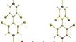 Two- and Three-Dimensional Polymeric Co(II) Terephthalates with 3,3',5,5'-Tetrabromo-4,4'-bipyridine (3,3'5,5'-BrBipy)