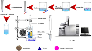 Magnetic dispersive micro-solid-phase extraction integrated with hollow fiber liquid-phase microextraction for preconcentration of trace amounts of chlorpyrifos pesticide in aqueous samples