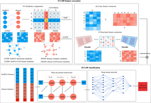 GEnDDn: An lncRNA-Disease Association Identification Framework Based on Dual-Net Neural Architecture and Deep Neural Network.