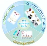 Antimicrobial therapy based on self-assembling peptides