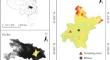 Hysteresis of Water Retention Curve of the Capillarimetric Diapason in Saline Soils