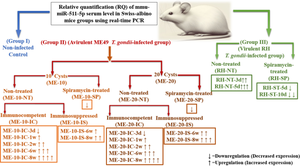 MicroRNA mmu-miR-511-5p: A promising Diagnostic Biomarker in Experimental Toxoplasmosis Using Different Strains and Infective Doses in Mice with Different Immune States Before and After Treatment