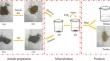 Synergistic CO2 mineralization using coal fly ash and red mud as a composite system