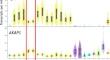 Driving Mitochondrial Fission Improves Cognitive, but not Motor Deficits in a Mouse Model of Ataxia of Charlevoix-Saguenay.