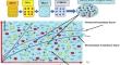 Shape factor and temperature-dependent viscosity analysis for the unsteady flow of magnetic Al $$_2$$ O $$_3$$ –TiO $$_2/$$ C $$_2$$ H $$_6$$ O $$_2$$ –H $$_2$$ O using Legendre wavelet technique