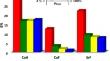 Permanent electric dipole moment of diatomic molecules using relativistic extended–coupled–cluster method