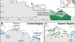 Local environmental conditions structured discrete fish assemblages in Arctic lagoons