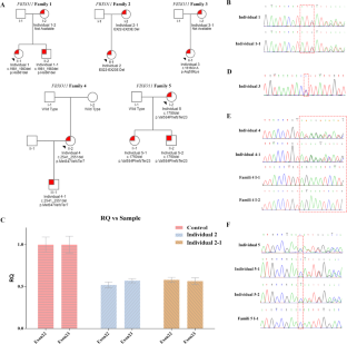 FBXO11 variants are associated with intellectual disability and variable clinical manifestation in Chinese affected individuals