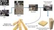 Correlations between moisture expansion and flexural properties of bamboo strips in response to different loading rates