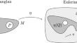 Compressible fluids interacting with 3D visco-elastic bulk solids