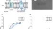 The modification of heme special importer to improve the production of active hemoglobins in Escherichia coli.