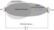 Nonlinear electromechanical topology optimization method for stretchable electronic interconnect structures