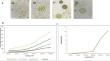A comparative study on the treatment of kitchen grey water using microalgae consortia and microalgae-synthesized silver nanoparticles.