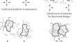 Flocculants and Modifiers for More Efficient Flotation and Processing of Coal Sludge