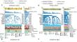 PCDH11X mutation as a potential biomarker for immune checkpoint therapies in lung adenocarcinoma.