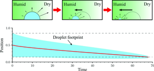 Droplet motion driven by humidity gradients during evaporation and condensation