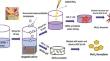 Enhanced Crystallinity Behavior of Egg White Mediated h-MoO3 Using Acid Precipitation Method for Improved Anti-Bacterial Properties against Multi Drug Resistant Bacteria