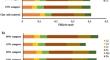 Influence of Different Rates of Plant-Based Compost on Clay Soil Metal Behavior and Human Health Risk Assessment in Moringa oleifera Leaf Biomass.