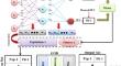 VLSI architecture of stochastic genetic algorithm for real time training of deep neural network