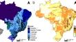 Ants (Hymenoptera: Formicidae) in subterranean natural cavities of Minas Gerais, Brazil