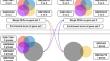 Particulate matter-induced gene expression patterns in human-derived cells based on 11 public gene expression datasets.