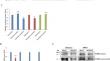 MicroRNA 429 regulates MMPs expression by modulating TIMP2 expression in colon cancer cells and inflammatory colitis.