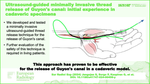 Ultrasound-guided minimally invasive thread release of Guyon's canal: initial experience in cadaveric specimens.