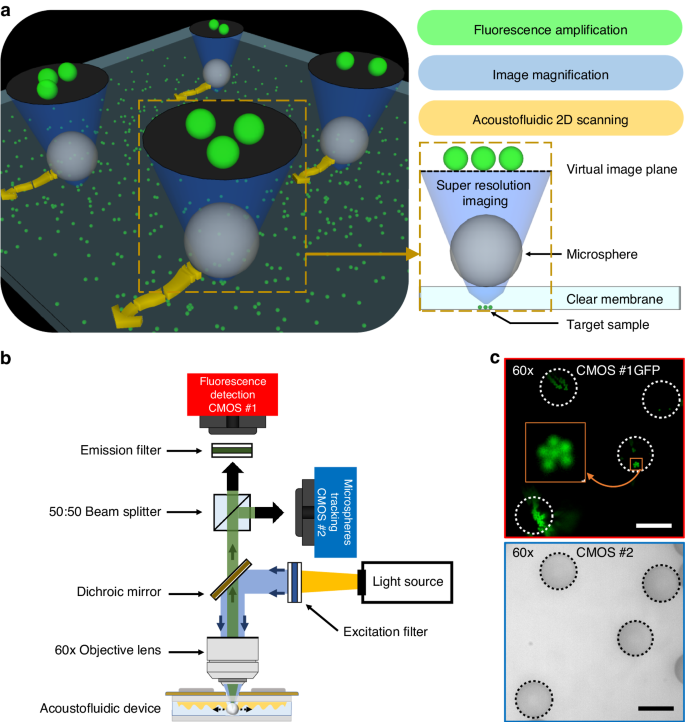 Acoustofluidic scanning fluorescence nanoscopy with a large field of view.