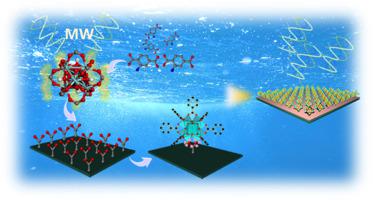 Microwave hydrothermal in situ synthesis of highly dispersed MOF@SiC as a Promising Structured Catalyst