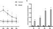 Sirt1 inhibits macrophage polarization and inflammation in gouty arthritis by inhibiting the MAPK/NF-κB/AP-1 pathway and activating the Nrf2/HO-1 pathway.