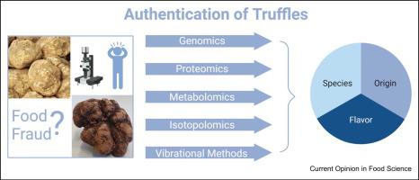 Food profiling: progress in ensuring the authenticity of truffle species and their geographical origin