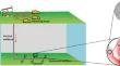 Synergistic Effect of Oxidation Dissolution and Acid Fracturing in Improving Shale Gas Production Capacity