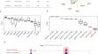 LncRNA Gm15834 Aggravates Cardiac Hypertrophy by Interacting with Sam68 and Activating NF-κB Mediated Inflammation.