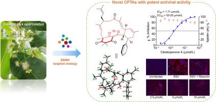 Targeted isolation of antiviral cinnamoylphloroglucinol-terpene adducts from Cleistocalyx operculatus by building blocks-based molecular networking approach