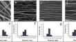 Electrospun Aloe Vera Extract Loaded Polycaprolactone Scaffold for Biomedical Applications: A Promising Candidate for Corneal Stromal Regeneration