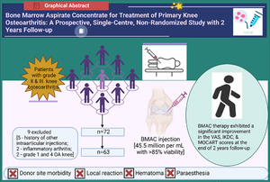 Bone Marrow Aspirate Concentrate for Treatment of Primary Knee Osteoarthritis: A Prospective, Single-Center, Non-randomized Study with 2-Year Follow-Up