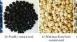 Aging-Induced Changes in Popping, Structural, Functional, Thermal, and Crystalline Properties of Roasted Makhana Seeds